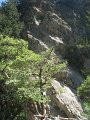 IMG_2163 - Copy